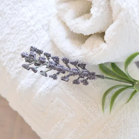 Butterfly 巴尔巴蒂