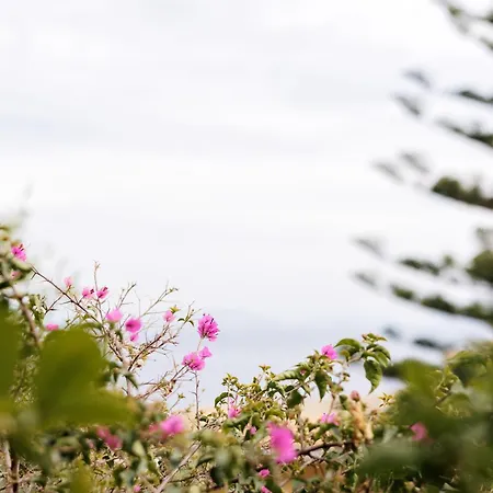 度假居 Butterfly *